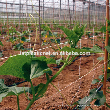 Treliça de apoio de planta trepadeira rede de ervilha de escalada